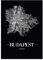 JUNIWORDS Stadtposter - Wähle Deine Stadt - Budapest - 60 x 90 cm Poster - Schrift A - Schwarz