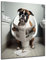 DARO Design - Bilder Deko Gäste WC Wandbild Badezimmer Bad Toilette Kunstdruck Bild auf 6mm HDF 30x40 cm Boxer Hund Wanddeko - lustige Wandbilder Leinwand Poster Aesthetic Room Decor