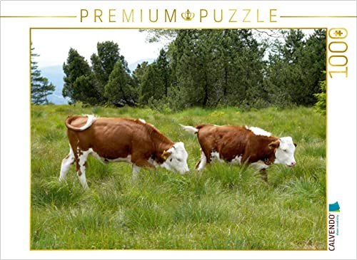 CALVENDO Puzzle Kälber zur Grindenbeweidung im Nationalpark Schwarzwald | 1000 Teile Lege-Größe 64 x 48 cm Foto-Puzzle für glückliche Stunden
