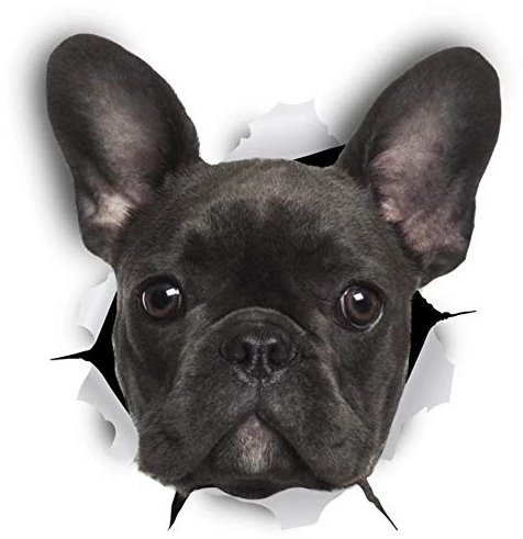 Sticker-Designs 10cm! Klebe-Folie Wetterfest Made-IN-Germany schwarz French Bulldog Französische Bulldogge Hund D799 UV&Waschanlagenfest Auto-Aufkleber Profi-Qualität!