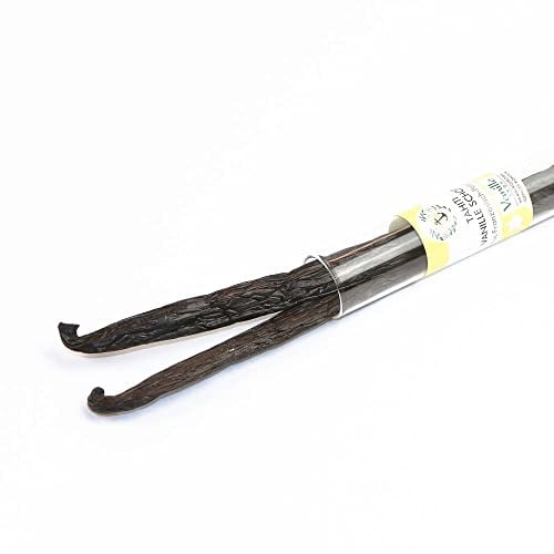 2 Tahiti Vanilleschoten 16cm im Glasröhrchen | Zum Backen und Kochen | Extra dicke Premium Vanilleschoten