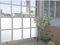 White Frosted Privacy Glass Window Film (50cm x 3M) (50cm x 3 metre)