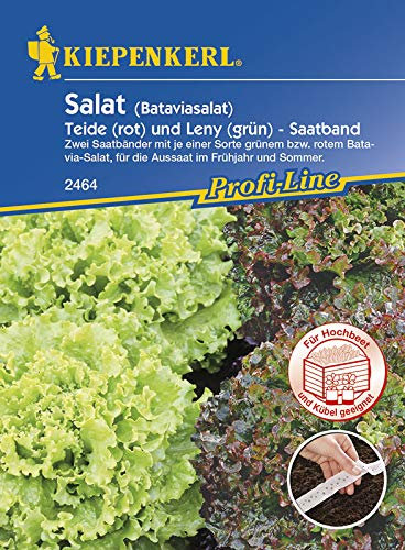 Salatsamen - Salat Batavia-Mix rot-grüner Saatband 2 x 2,5 m von Kiepenkerl
