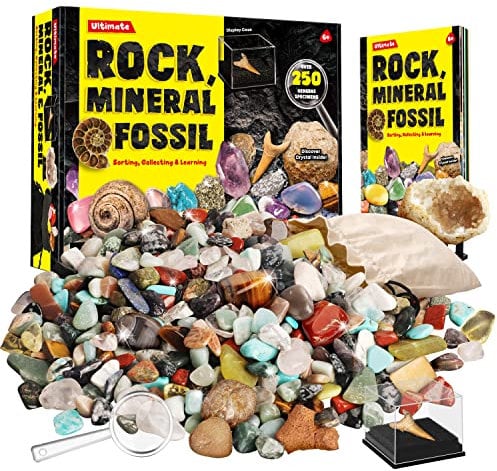 XX Edelsteine und Fossilien Set für Kinder - 250 Steine Set Mit Unterschiedlich Kristalle, Mineralien, Geoden, Edelsteine, Fossilien - Edelsteinsammlung Spielzeug Junge Mädchen 6 7 8 9 10 11 12 Jahre