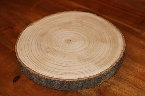 Holzscheibe mit Rinde, Durchmesser ca. 22 cm, H 2,5 cm, leichtes Holz
