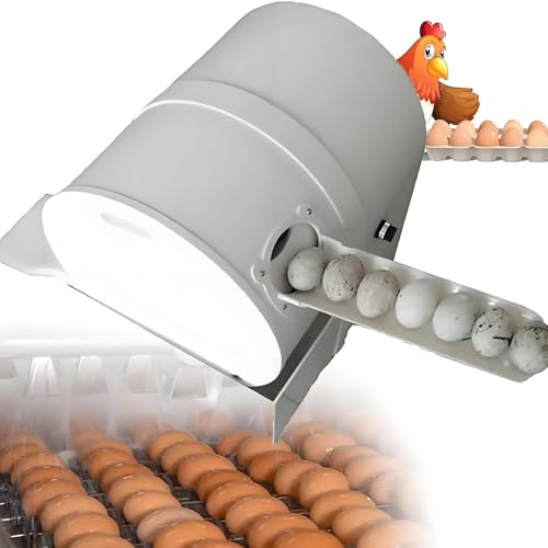 Automatische Eierwaschmaschine, Plastikkörper Bürstenwasch Ei-Maschine/Reinigung Dirty Duck Eggs Maschine/Geflügel Egg Waschmaschine und sauberere