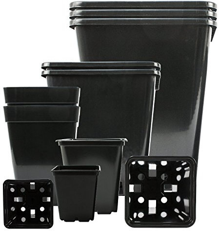5-stk Profi-Pflanztopf viereckig 28,5x28,5x28,5-cm 14-Liter • Hochwertiger PP Kunststoff • Perfekt für Indoor & Outdoor z.B Winter-Garten Terasse Grow-Box • Blumen-Topf für & sehr große Pflanzen, Palmen
