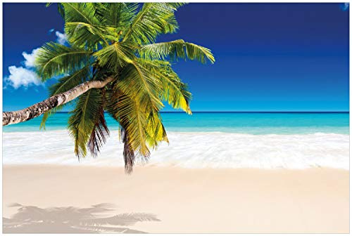 Wallario Poster - Südseestrand in der Karibik mit Palme in Premiumqualität, Größe: 100 x 150 cm XXL-Poster