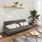 LAPOOH Schlafsofa 2-Sitzer Dunkelgrau Samt, Loungesofa, Sofas & Couches, Relaxsofa, Couch für Wohnzimmer - 375738