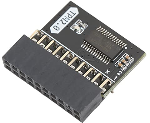 TPM 2.0 Encryption Security Module, 20-Pin Standalone Crypto Processor For Windows 11, Compatible With Gigabyte And ASUS Motherboards, DDR4 Memory Module Support
