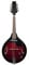 Stagg M50E Electro-acoustic Bluegrass Mandolin with Nato Top