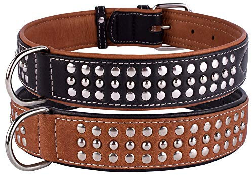 CollarDirect Hundehalsband mit Nieten, Leder, für kleine und mittelgroße Welpen, weich gepolstert, Braun/Schwarz (Braun, 58-63 cm)