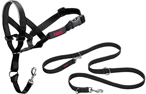 Halti Kopfhalsband und Trainingsleine Kombi-Pack, stoppt das Ziehen des Hundes auf Spaziergängen, beinhaltet Kopfhalsband Größe 4 und doppelendige Leine, schwarz