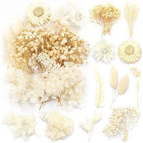 iDattel Natürliche Getrocknete Blumen,Blumen Natürliche Gemischte,DIY Natürliche Getrocknet Blumen Set für Kunst Basteln DIY Harz Scrapbooking Handwerk Karten Machen(Weiß)
