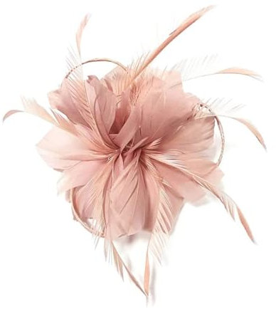ZCXCsfp Bibi pour femme, bibi de course de mariage, fête, bibi avec clip de bandeau pour décoration de mariage, rose pâle, chapeau de mariée, rose, taille unique