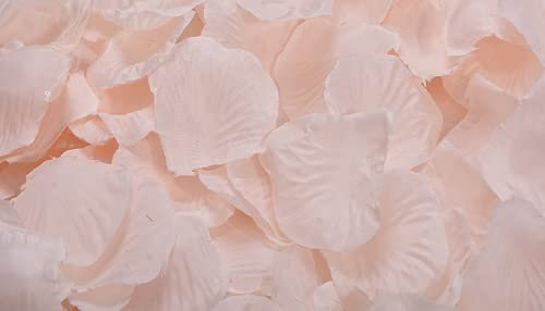 Vision4ever 100Pcs Champagne Color Silk Rose Petals Flower Wedding Birthday Confetti Party Decoration With Attractive Look