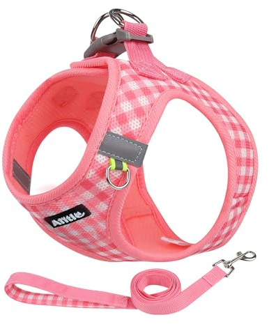 AIITLE Step-in-Hundegeschirr Set verstellbar Mesh, Wassermelone XXS | Reflektorstreifen, atmungsaktiv, Karomuster, für Welpen & Katzen, Training, Spazieren, Laufen, Leine inklusive