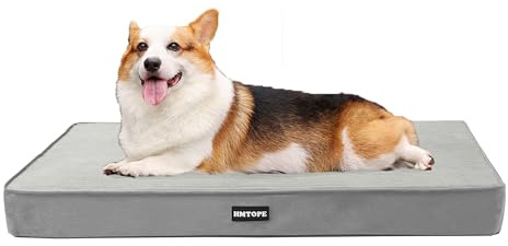 HMTOPE Orthopädisches Hundebett Mittelgroße Hunde waschbar, 91cm Hellgrau | 9cm Dicke Hundekissen mit eierförmiger Kistenschaum, Abnehmbar Hundematte, rutschfeste Unterseite, Wasserdichtes Innenfutter