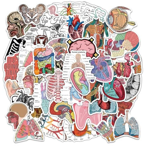 100 Pieces Organ Anatomy Stickers for Computer, Notebook, Luggage, and Decorative Purposes