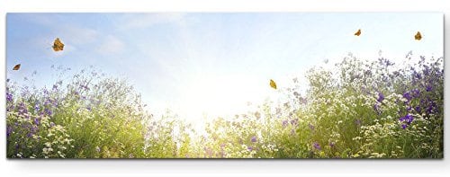 Paul Sinus Art Leinwandbilder | Bilder Leinwand 120x40cm sommerliche Blumenwiese