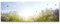 Paul Sinus Art Leinwandbilder | Bilder Leinwand 120x40cm sommerliche Blumenwiese