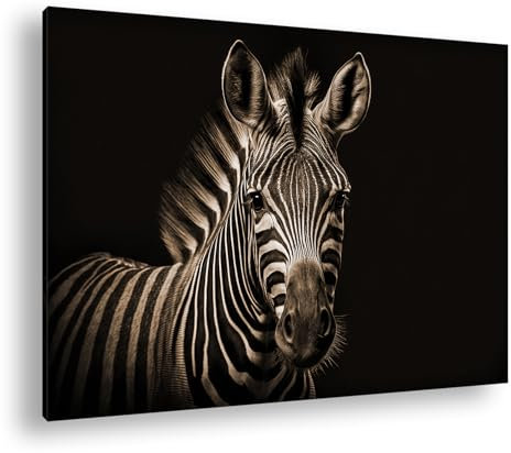 deyoli Leinwandbild Zebra mit markanten Streifen, blickt direkt in die Kamera, kraftvoll. Format: 70x50cm Effekt:Sepia XXL Kunstdruck Bild auf Holzrahmen/Wandbild/Wohnzimmer Dekoration