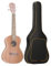 Raypontia Koffer für Klassische Gitarre, Tasche für Bassgitarre,Wasserdichter, Dicker Oxford-Stoffkoffer für Klassische Gitarre - Wasserdichter Oxford 0,19 Zoll gepolsterter Dicker