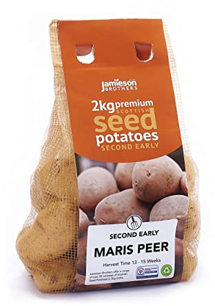 2kg Maris Peer Seed Potatoes (Approx. 20-25 Tubers) – Second Early Grow Your Own – Baking, Boiling & Salads – Scottish-Grown & Ready to Plant at Home in Gardens & Allotments by Jamieson Brothers