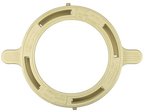 Pentair 357199 Pompe de Rechange pour Piscine creusée/Spa