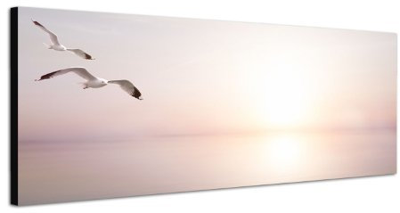Ostsee Möwen Meer Sonnenuntergang 150x50cm als Panorama auf Leinwand und Keilrahmen fertig zum aufhängen - Unsere Panorama auf Leinwand bestechen durch ihre ungewöhnlichen Formate.