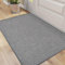 DEXI Door Matts Indoor 61 x 92 cm, Dirt Trapper Doormats Inside with Non Slip Rubber Backing, Low Profile Absorbent Entrance Mat for Muddy Shoes and Paws, Grey