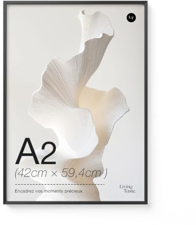 LIVINGTASTE 1 Stück Bilderrahmen A2 - Aluminium Schwarz Rahmen | gebürstet mit gehärtetem Glas fur 42x59.4 cm Fotos Fotorahmen für Poster und Wohnzimmer Kinderzimmer Deko Galerie