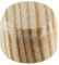 KWB Konusplättchen, Ø 25mm, Kieferholz, , holzdübel, rund, bohrlöcher, Querholzplättchen