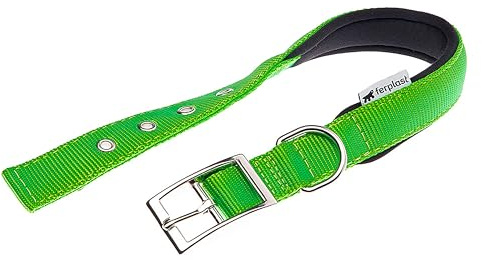 Ferplast Hundehalsband, Größe M, Groß, aus gepolstertem Nylon, verstellbare Metallschnalle, Halsumfang 34–42 cm, Grün