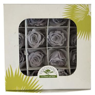 Centro Fiori Padova Mini BOCCIOLI di Rosa STABILIZZATA X 16 (Lilla)