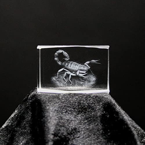 ERN Kristallglas Figur - Skorpion - 3D Laser Glas Skulptur | 30 x 45 x 30mm | Deko & Geschenkidee
