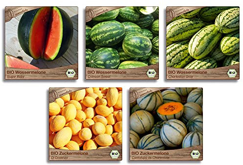 Samenliebe BIO Melonen Samen Set mit 5 samenfesten Gemüsesamen Sorten für Gewächshaus und Freiland Melonen BIO Gemüse Saatgut