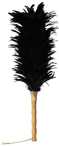 Plumeau Noir plumeau Nettoyage artefact ménage Nettoyage plumeau ménager, Nettoyage de la poussière, Nettoyage de la Maison