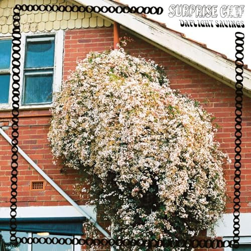 Daylight Savings [Vinyl LP]