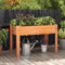 GOPLUS Carré Potager sur Pieds en Bois de Sapin, Jardinière Surélevée Extérieure avec Trou de Drainage, pour Fleurs, Légumes et Fruits, 120,5x60,5x81,5CM (Orange)