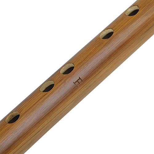 POENVFPO E-Taste Bambus-Dizi, Traditionelle Chinesische Flöte, Musikalisches Holzblasinstrument mit Aufbewahrungstasche, Anfängerfreundlich für Kinder und Erwachsene