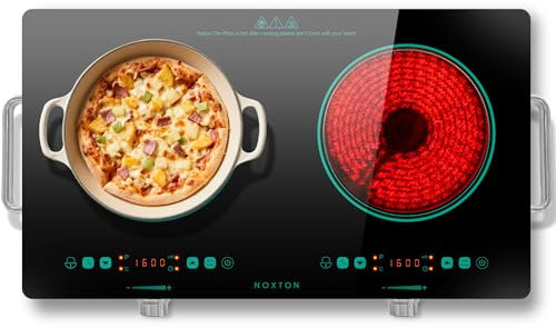 NOXTON Placa de vitroceramica 2 fuegos 30cm, con enchufe, portátil con mango, Césped Borde Verde, control táctil y por mando, negro, temporizador, bloqueo para niños, 3200W, 9 niveles de potencia