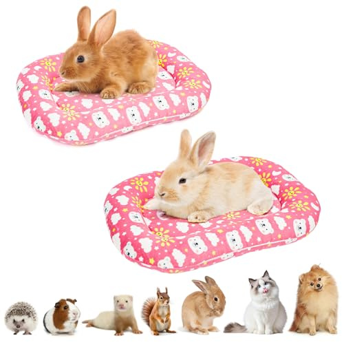 BellyBloom Lot de 2 tapis de sol pour animaux de compagnie, en coton rose, petit pour lapins de moins de 1,5 kg, coussin ovale avec motif ours, utilisation intérieure, 40 x 29 x 5 cm, rose