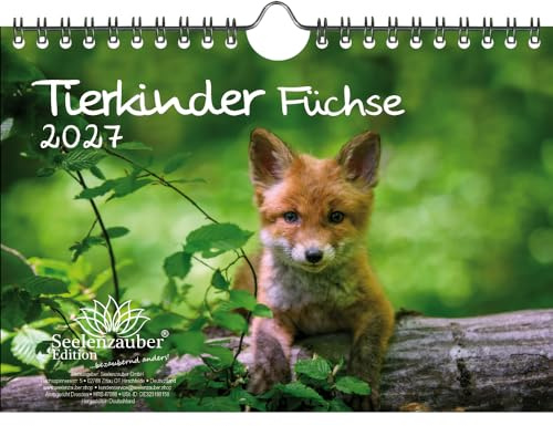 Tierkinder Füchse DIN A5 Kalender für 2027 Fuchs und Füchse - Seelenzauber