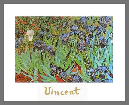 Vincent Van Gogh Iris Poster Bild Kunstdruck im Alurahmen Champagne 24x30cm