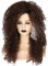 Topcosplay Afro Perücke Damen, Lockige Perücke Braun Lang für Fasching Halloween Cosplay Kostüm