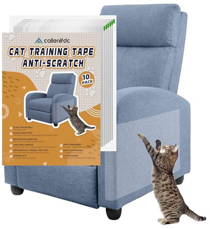 Anti Scratching Tapes, 10pcs Furniture Protectors For Cats, 0.1mm Cat Couch Protector, Clear Double Sided Cat Scratch Deterrent Tape for Furniture, Couch, Sofa, Chair and Leather, Cat Training Tape