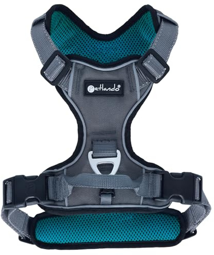 Petlando Hundegeschirr Outdoor – stark reflektierend, gepolstert, atmungsaktiv, robust, stufenlos verstellbar, Zwei D-Ringe – Petrol, S (Halsumfang 36-48cm, Brustumfang 46-56cm)