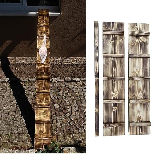 Cat Ladder Stairs Flamed Step for Balcony 1 m to 6 m with Screw Hooks Outdoor Ladder (Length: 2 m)