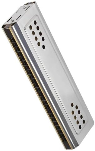 Professionelles 24-Loch C&G doppelseitiges Vibrato-Mundharmonika-Instrument mit einfacher und fester Struktur Mundharmonika-Set
